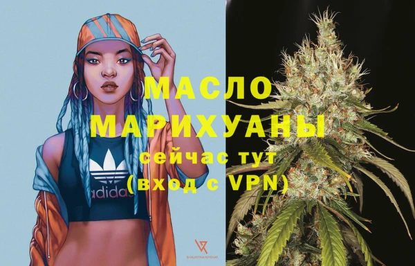 спиды Бородино