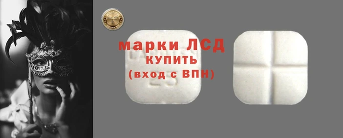 спиды Бородино