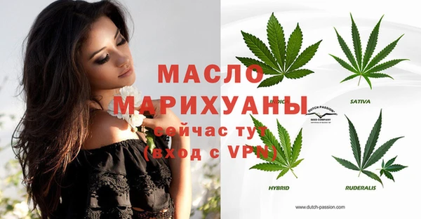 спиды Бородино