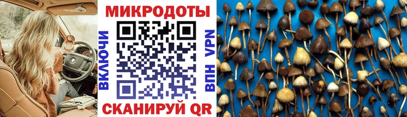 Купить где  Пикалёво  Псилоцибиновые грибы ЛСД 